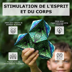 Fidget CUBE 3D SHASHIBO