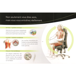 Fauteuil BIOSWING 560 iQ
