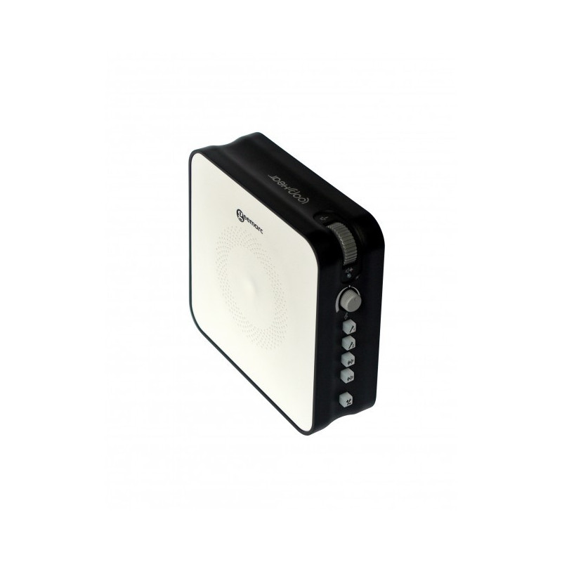 LoopHear LH600 Boucle d'induction Fixe (GEEMARC)
