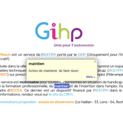 Extension Google Dictionary
