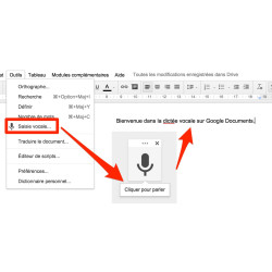 Application Google Docs