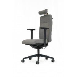 Fauteuil ANDUZE (ERGOSANTE)