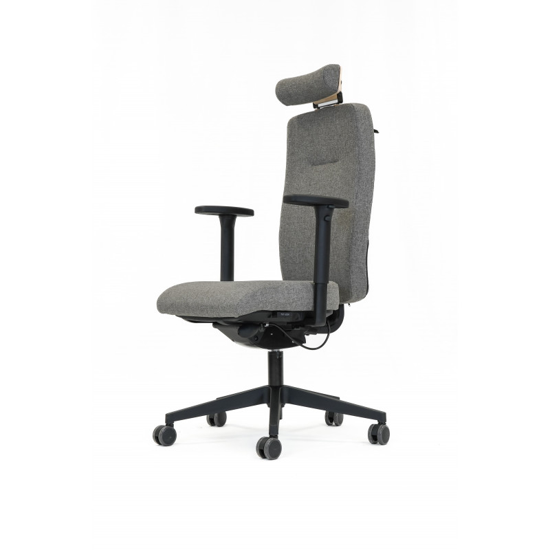 Fauteuil ANDUZE (ERGOSANTE)