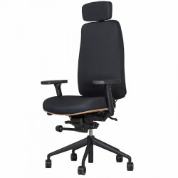 Fauteuil AIGOUAL (ERGOSANTE)