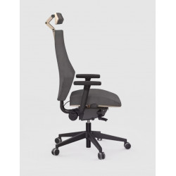 Fauteuil VENTOUX (ERGOSANTE)