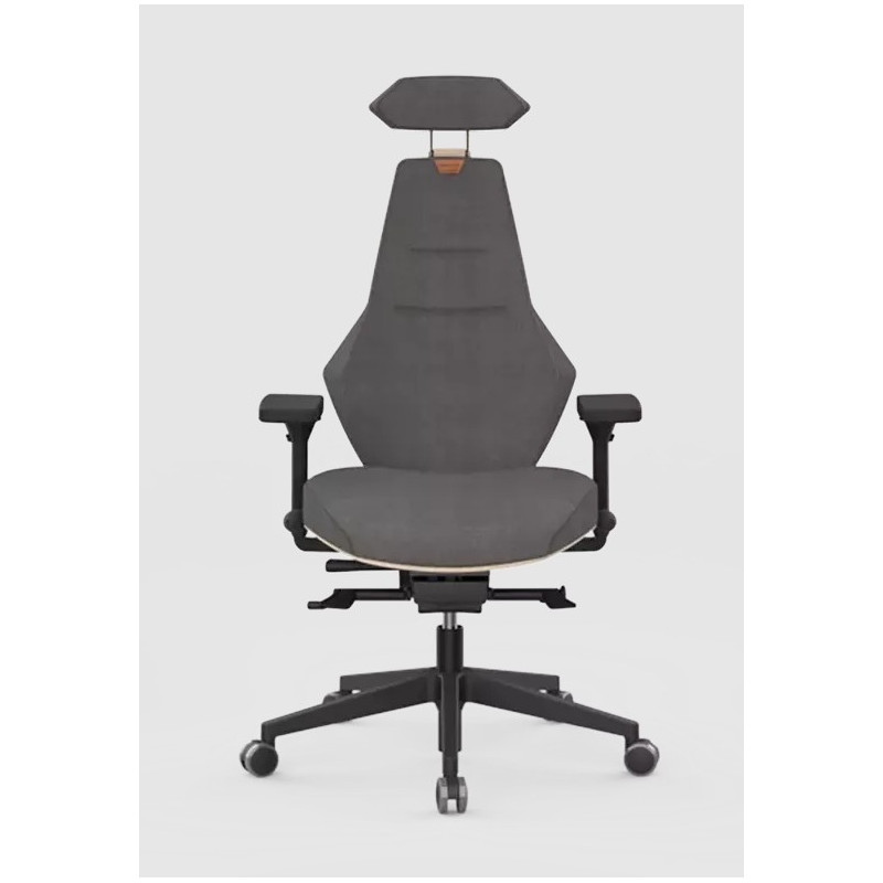 Fauteuil VENTOUX (ERGOSANTE)