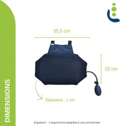 Coussin lombaire Ergolomb pneumatique véhicules (ERGOTECH)