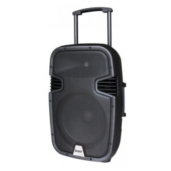 Enceinte amplifiée portable avec 2 micros UHF - RUNNER15 (SEGON)