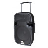 Enceinte amplifiée portable avec 2 micros UHF - RUNNER15 (SEGON)