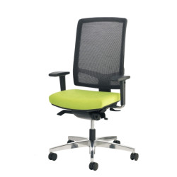 Fauteuil LINEA (VIASIT)