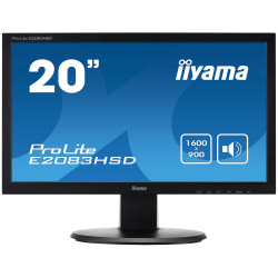 Ecran d'ordinateur 20" (IIYAMA)