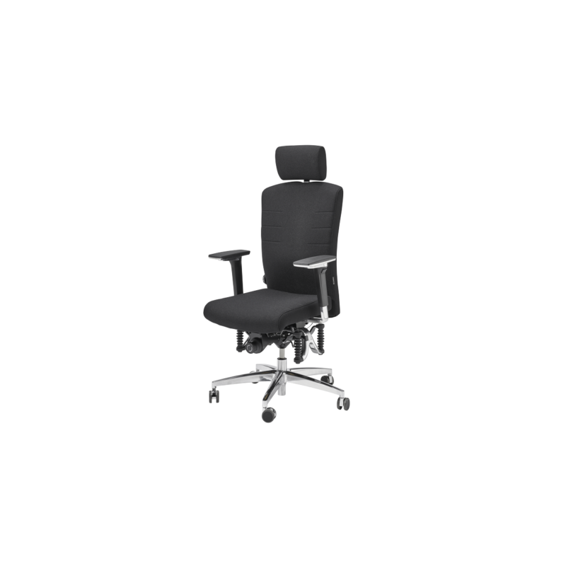 Fauteuil BIOSWING 560 iQ
