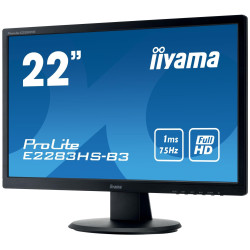 Ecran d'ordinateur 22" (IIYAMA)