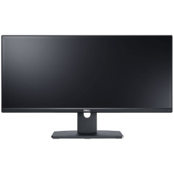 Ecran d'ordinateur 29" (DELL)