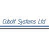 COBOLT SYSTEMS LTD